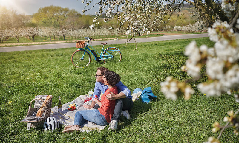 Ein paar beim Picknick auf einer Wiese mit blühendem Kirschbaum und Fahrrad und Picknickkorb