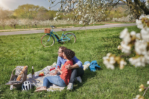 Ein paar beim Picknick auf einer Wiese mit blühendem Kirschbaum und Fahrrad und Picknickkorb.