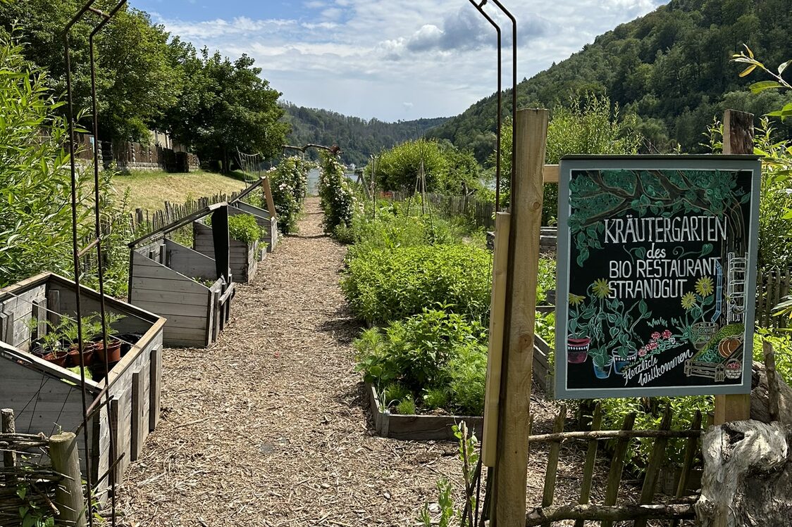 Exkusion Nachhaltigkeit in die Sächsische Schweiz