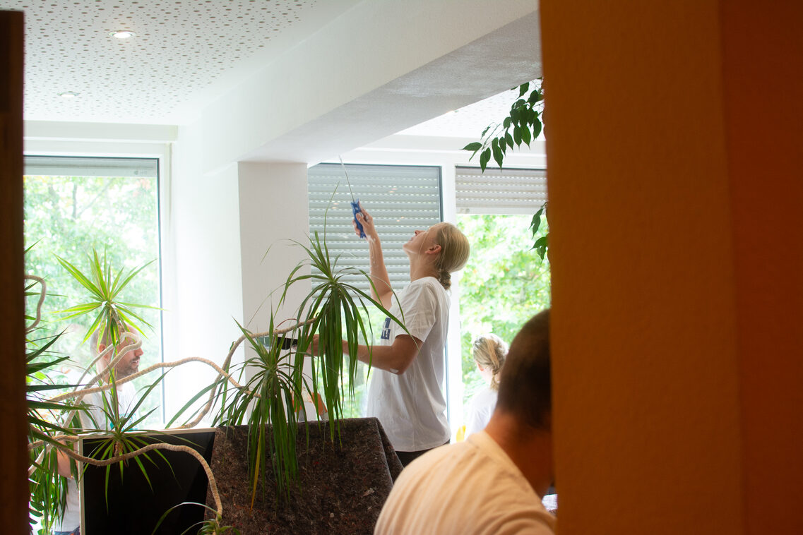 Mitarbeitende der WICM beim Streichen