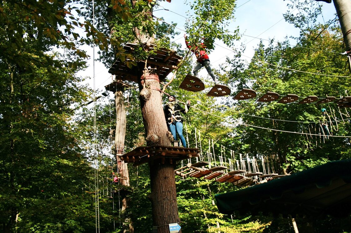 Azubitag im Kletterwald auf dem Neroberg