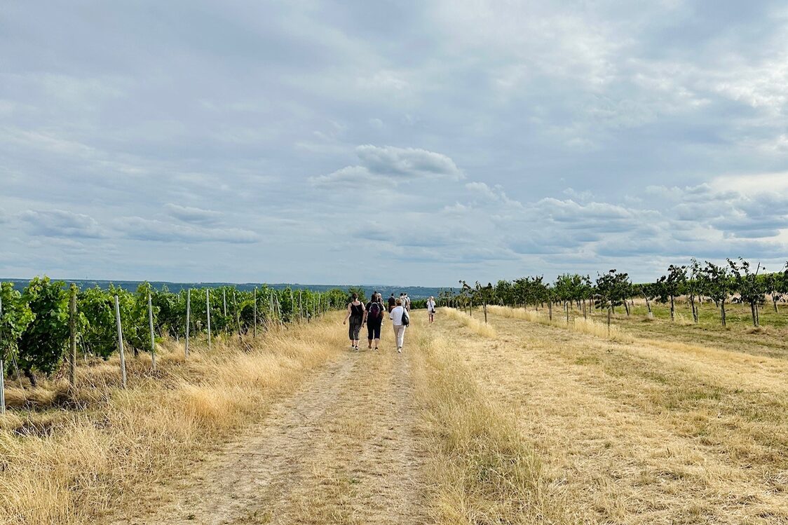 Weinwanderung