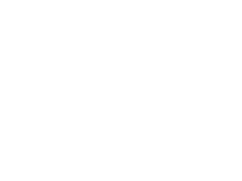 Wiesbaden Congress & Marketing GmbH