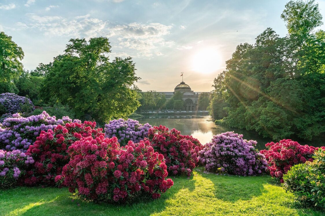 Kurpark
