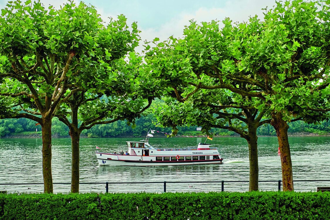 Schiersteiner Hafen