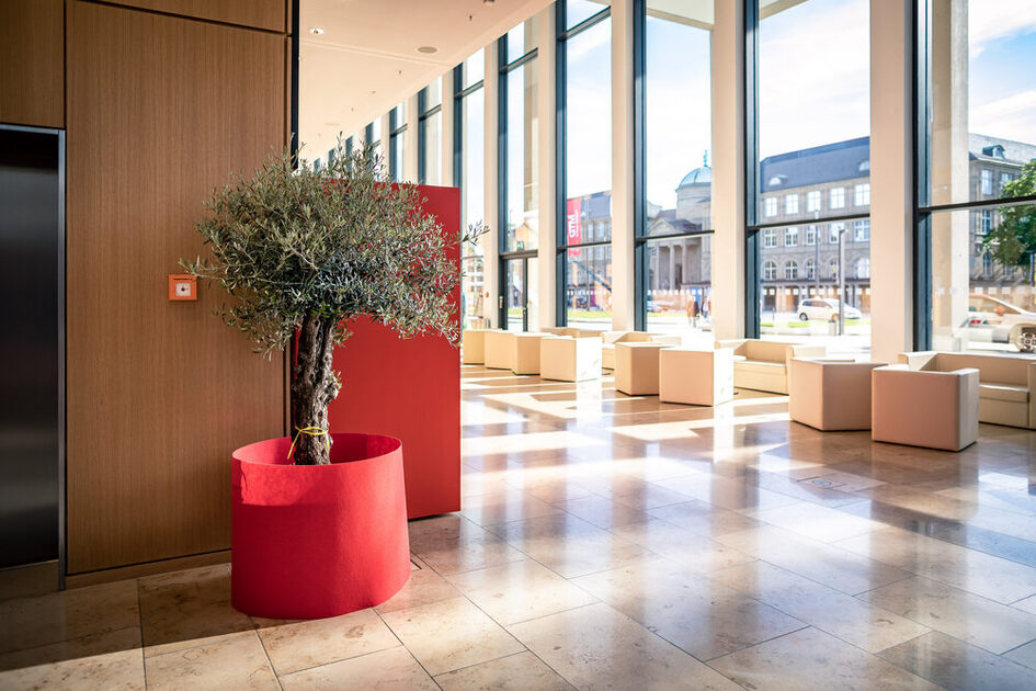 Foyer Nord ein Baum